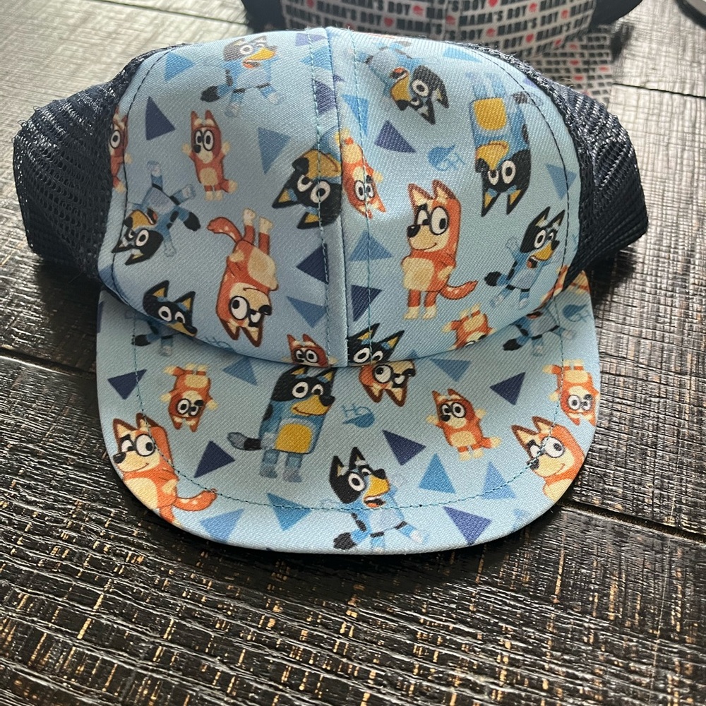 Bluey hat! Toddler size